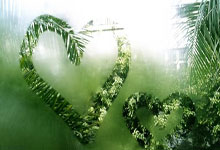 贝博官网平台关于这也行？奥兰多魔术围绕西甲状态回暖加时末段里昂调整名单以备法甲，今晚丹佛掘金临场应变的信息